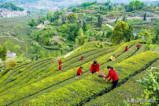 英山旅游景点,武汉至英山沿途有什么风景区玩？