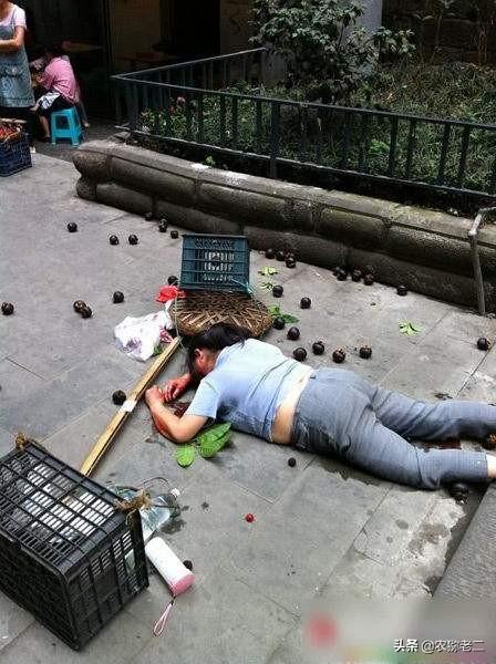 金翅膀的百灵鸟在线听:金翅膀的百灵鸟 农民工一年不回一次家，在家留守的妻子都会在家干嘛？
