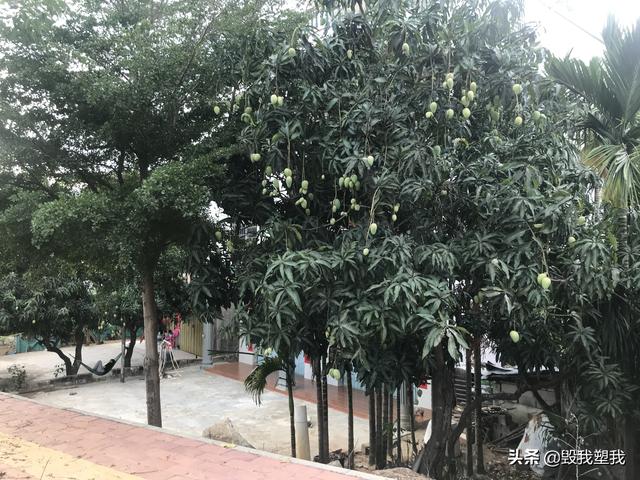 焦雅亮:有没有三亚本地人解答一下，哪里人少又好玩？