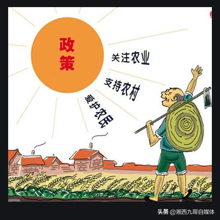 三农是不是目前最好的前景？