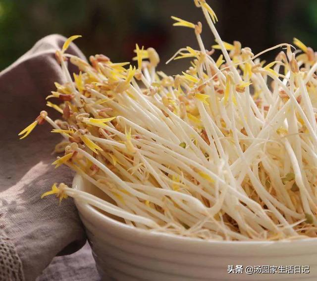 生绿豆芽，用塑料瓶生绿豆芽怎么做？