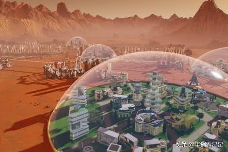 金星资料:小叶紫檀金星是怎么形成的，金星是什么样的