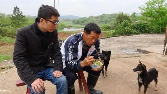 鹰敖犬图片:吃腐肉的动物如秃鹫，为什么不会食物中毒？