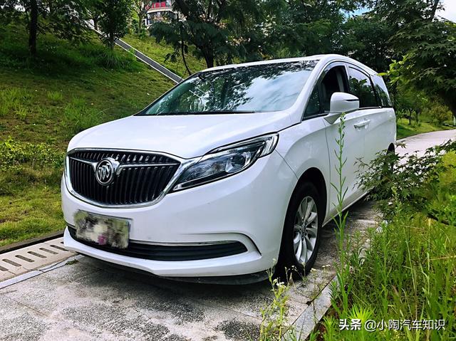 柚木提娜图片:商务车别克gl8的木地板怎么样终端价格怎么这么高