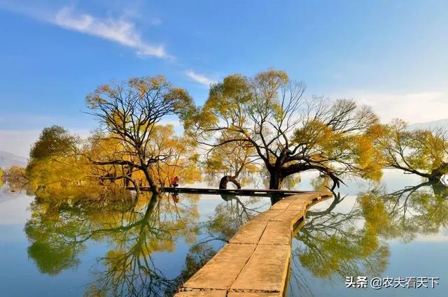 食疗养生网,怎样理解"美其食,任其服,乐其俗,高下不相慕"