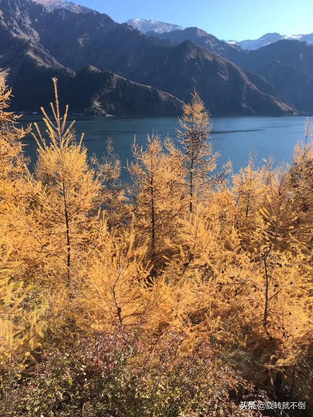 现在去旅游的最佳地点有哪些，您去过的，性价比最好的旅游的地方，有哪些