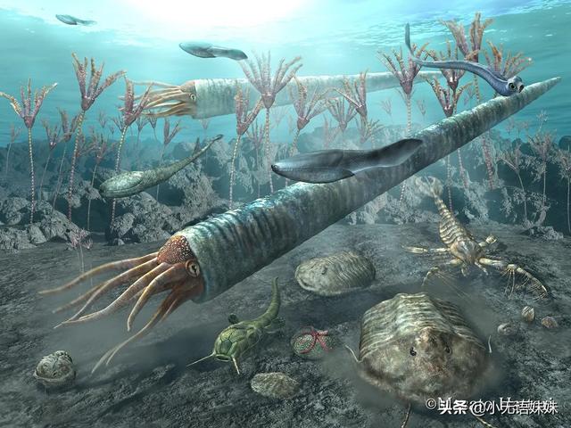 远古巨兽大复活旋齿鲨:远古巨兽旋齿鲨 地球上有哪些奇异的史前生物？