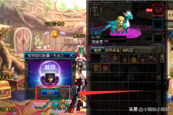 国外宠物交易:dnf宠物怎么买?dnf宠物怎么交易宠物蛋怎么交易？