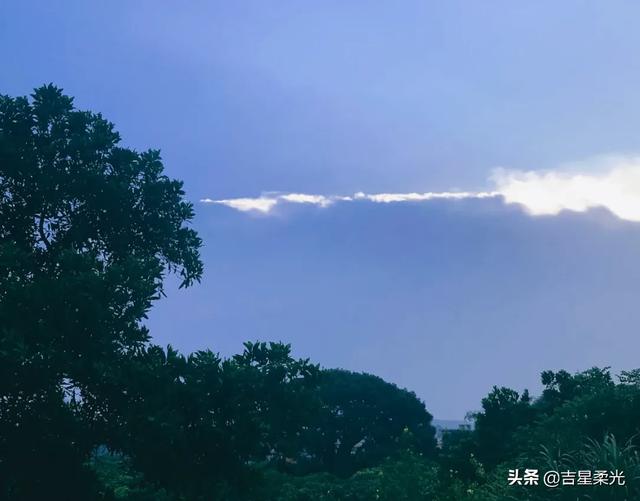 请评价这首诗