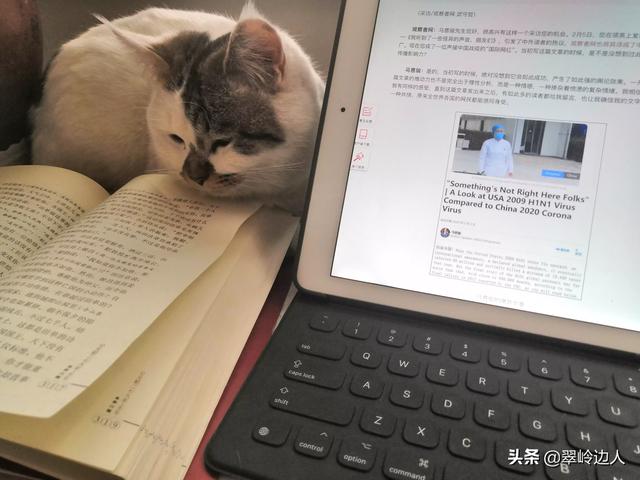你什么时候被猫的智商震惊了？插图15