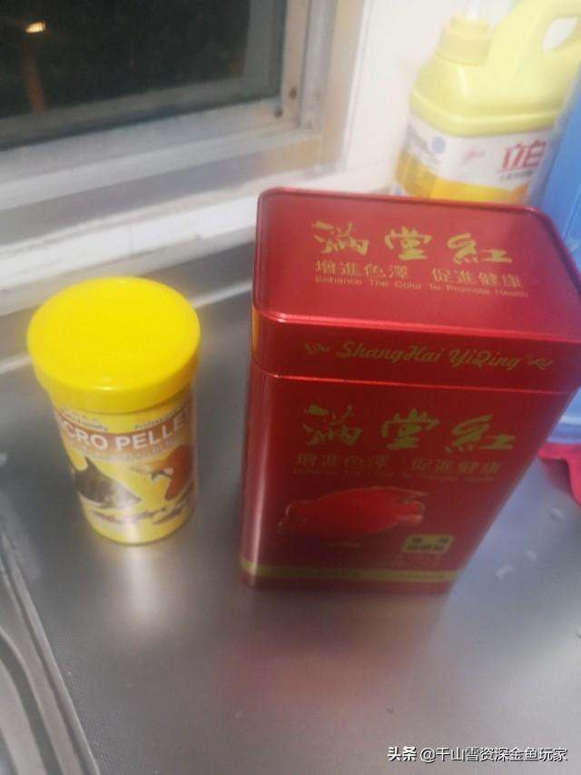 鹤顶红金鱼吃什么食料:锦鲤适合吃金鱼的饲料吗？