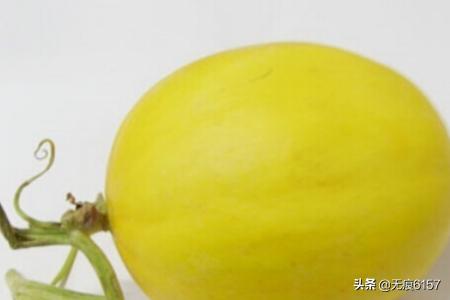 伊丽莎白瓜怎么吃:怎么挑新鲜水果——怎么挑伊丽莎白瓜？