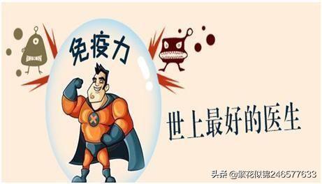免疫力如何快速提高？
