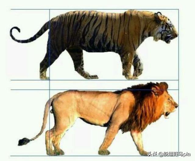 (小郭郭帅仔的回答,0赞)