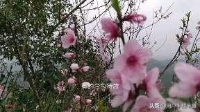 请问大家用手机剪辑视频用的是哪一种软件,有何推荐？告诉我,谢谢？