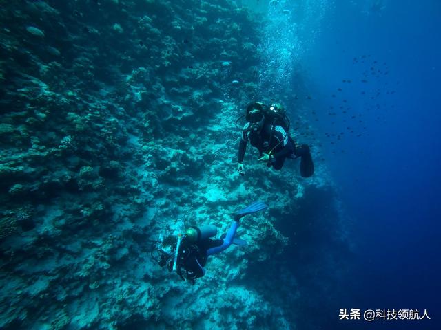 什么是蓝洞？它是怎么形成的?它与湖泊和池塘有什么区别？