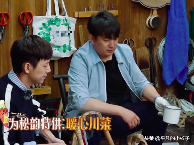 谭松韵欧豪:如何评价谭松韵在《向往的生活》中的表现？