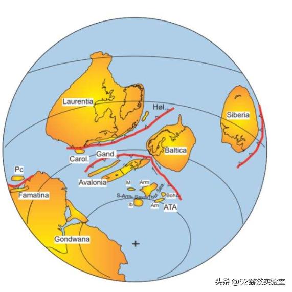 澳洲蝙蝠成灾怎么回事，澳大利亚森林大火，大量动物尸体产生的病毒和细菌随风漂流去哪