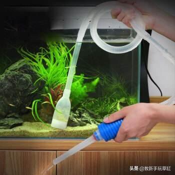 用鱼缸养金鱼几天换一次水:请问养金鱼有经验的、金鱼可以天天换水吗？