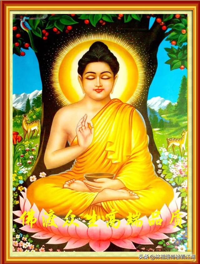 头条问答 - 我想请问您是怎么看释迦牟尼,佛教以及信仰的?(天语狼心的