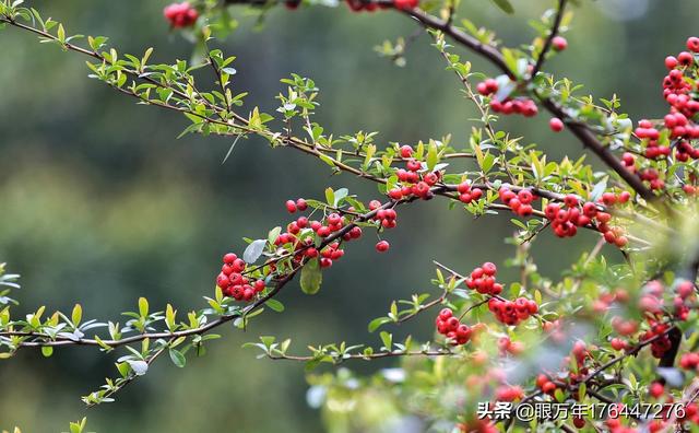 感觉做菜的水平到了瓶颈期,后期该如何突破？