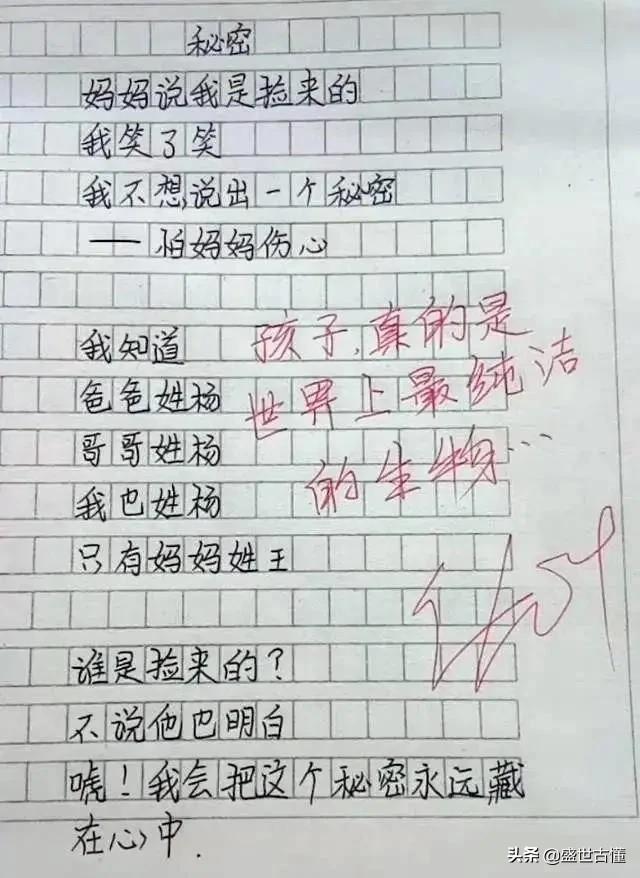 小学生作文全篇,小学生作文50字大全