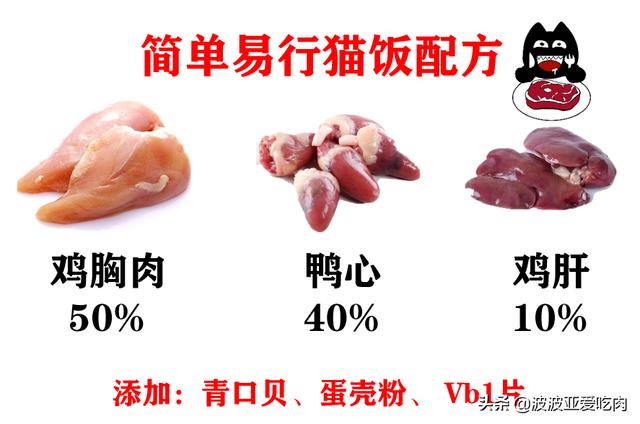 给英短吃的猫饭:英国短毛猫最喜欢吃什么？