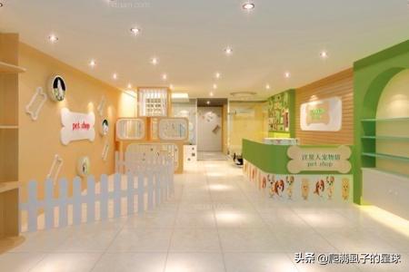 三线城市开个宠物店要多少钱:开一家宠物店至少需要花多少钱？