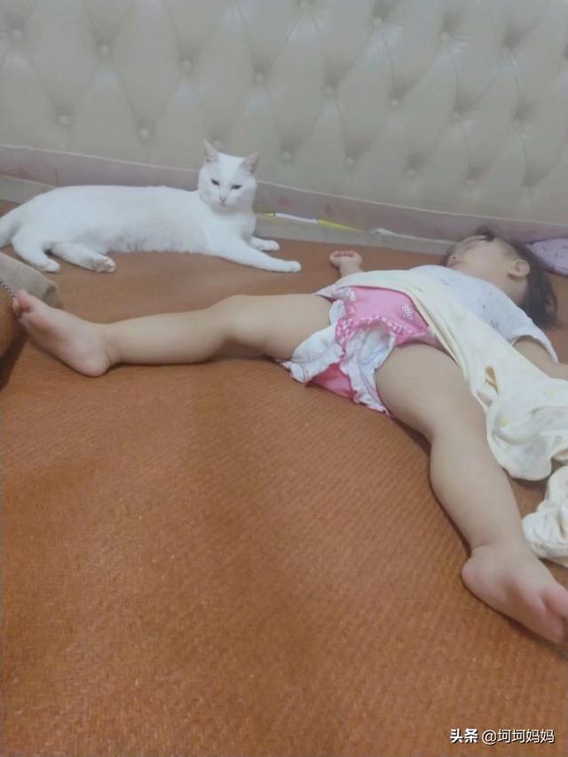 如何与宠物安全相处:宠物与宝宝该怎么去相处？ 如何与宠物相处安全教案