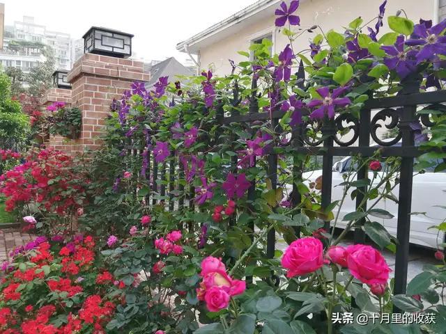 家住别墅是什么样的感觉？插图40