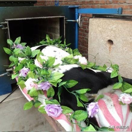 人死了知道自己火化吗,殡仪馆可以让家属观看火化过程吗？