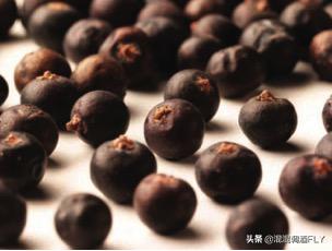 金酒就是金汤力吗？
