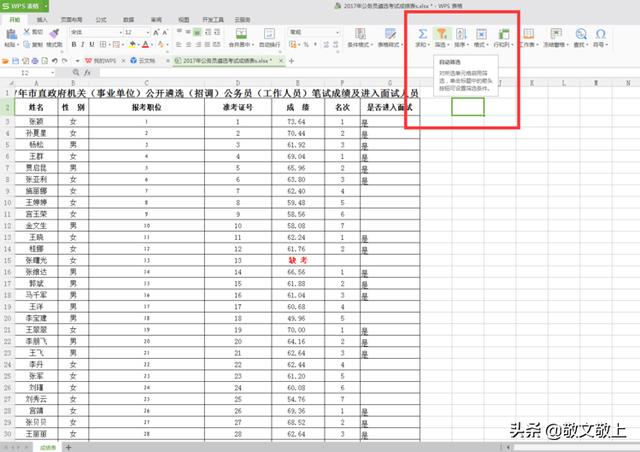 wps筛选,怎样使用WPS的筛选功能？