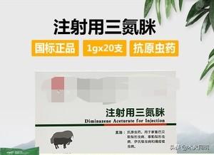 医仕高驱虫药用法用量:医仕高标枪驱虫药怎么样 500公斤母牛喂多少克驱虫药？