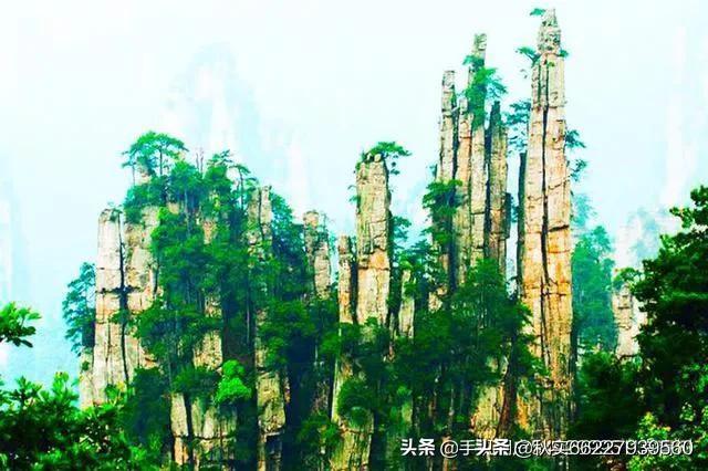 王健林是谁的女婿:小舅子要结婚，岳母要求两个女婿买车买房，这个怎么解决？