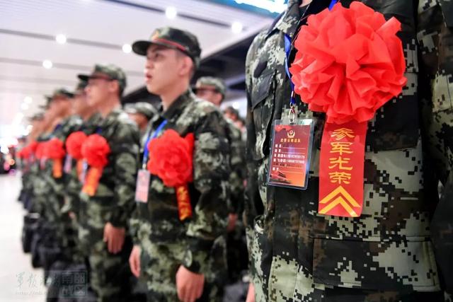 蓝军出击剧情分集介绍:新兵成长为上校军官有多难