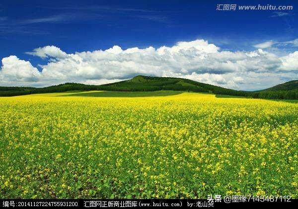 春天来了,有哪些绚烂的春词或诗？
