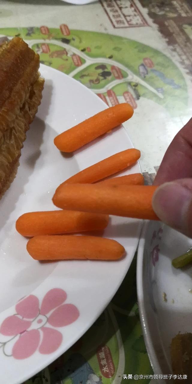 手养鸟有什么危害？