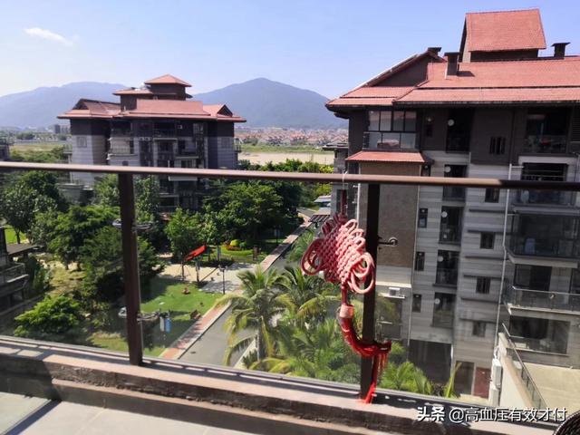 海口罗威纳论坛:海南省哪个城市最发达？你如何评价？