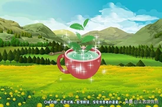 绿茶品种,绿茶包括哪些品种的茶叶？