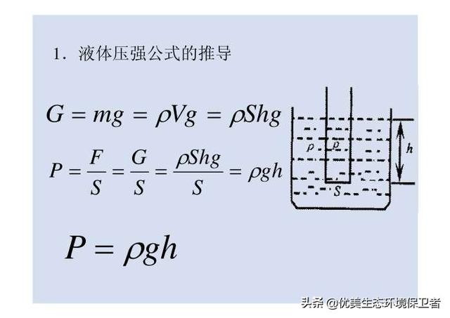 海底动物世界全集:海洋里的动物，谁是名副其实的潜水冠军？