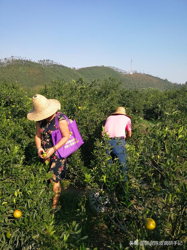 为斯宝赛级怎么样:你喝过几种牌子的啤酒？觉得哪个牌子的啤酒口感最好？