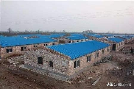 大冶市宠物兔养殖场地址诚信经营:为什么有些养土鸡创业的人都赔惨了？