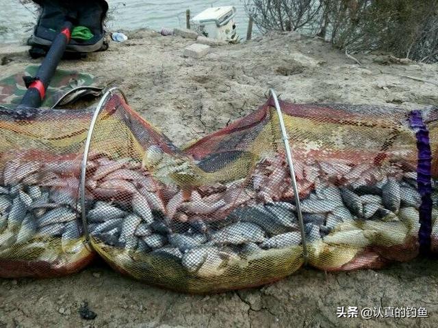 类似小猫一尾男女关系的小说:为什么感觉钓鱼会越来越上瘾？ 女主叫小猫的言情小说