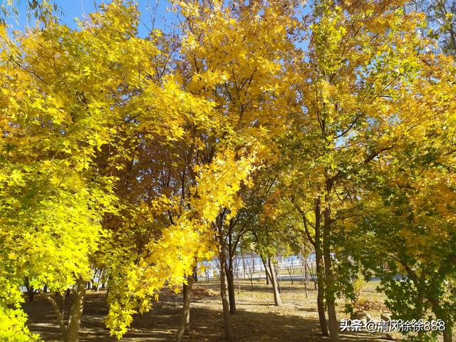 孩子成绩不好风水化解,孩子成绩始终不如意，作为家长能不能放弃？