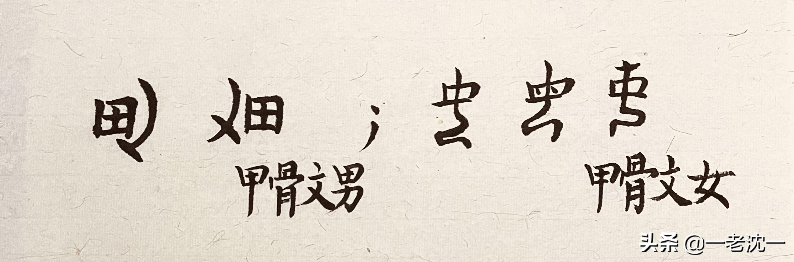 谈一下“男”字“和女”字,从字的结构上怎样解析？