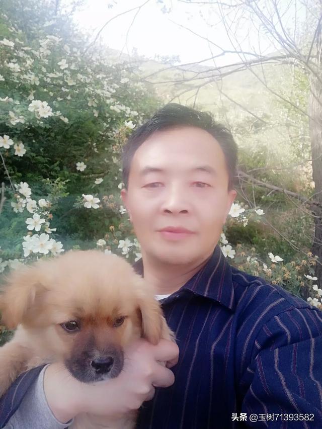 可爱小小时尚狗的照片:你手机里有可爱狗狗的照片么？发出来看看？ 可爱小白狗的照片