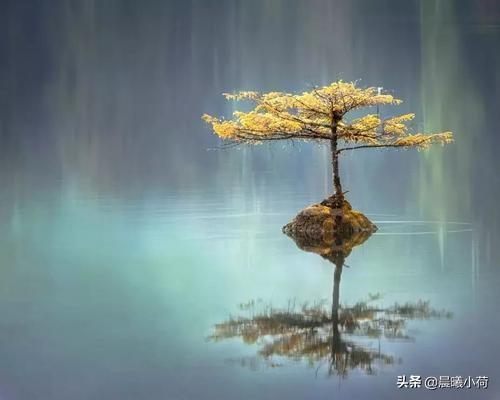 唐玄奘:唐三藏为什么总是不分青红皂白冤枉孙悟空？