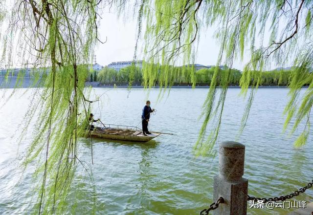 蓝脚鲣鸟一家原图:手机拍摄过什么满意的照片吗？发上来看看？