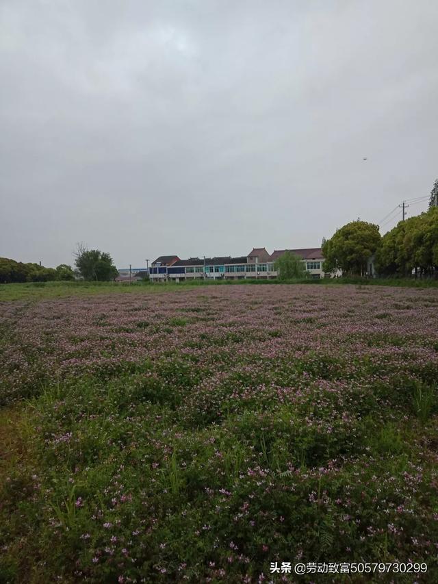 想问一下，想去农村生活的人多不
